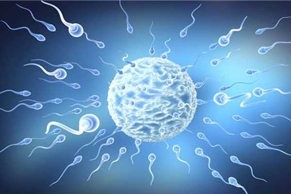 供卵代生孩子产子过程,格鲁吉亚试管婴儿得到囊胚的数量与哪些因素有关？