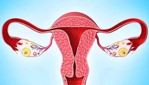 <b>试管代生对女方的要求,经阴道B超检查能看些什么，一个试管婴儿周期多达10余</b>
